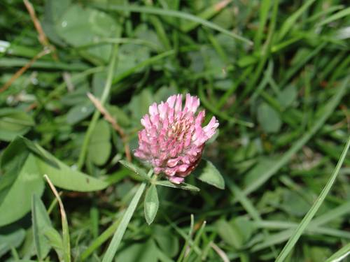 Foto uit RadioLoo-archief