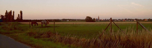 Kruiningen gezien vanuit de polder, de Groeneweg, zomer 2004.
