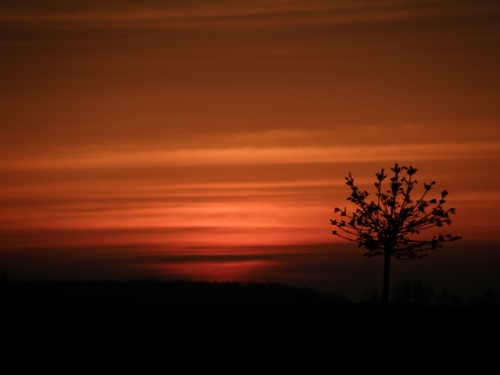 Rode zonsondergang door stof in de atmosfeer van de Eyjafjallajökull-vulkaan in IJsland. 18 april 2010.