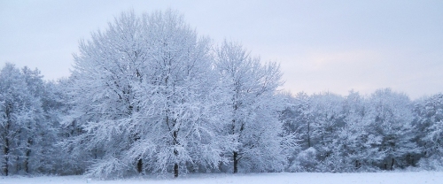 Een stukje winterlandschap bij Kruiningen, 17 december 2010.